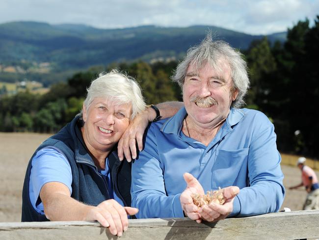 Nicky and Terry Noonan from Tas Saff farm at Glaziers Bay TasmaniaPicture: Fiona Harding