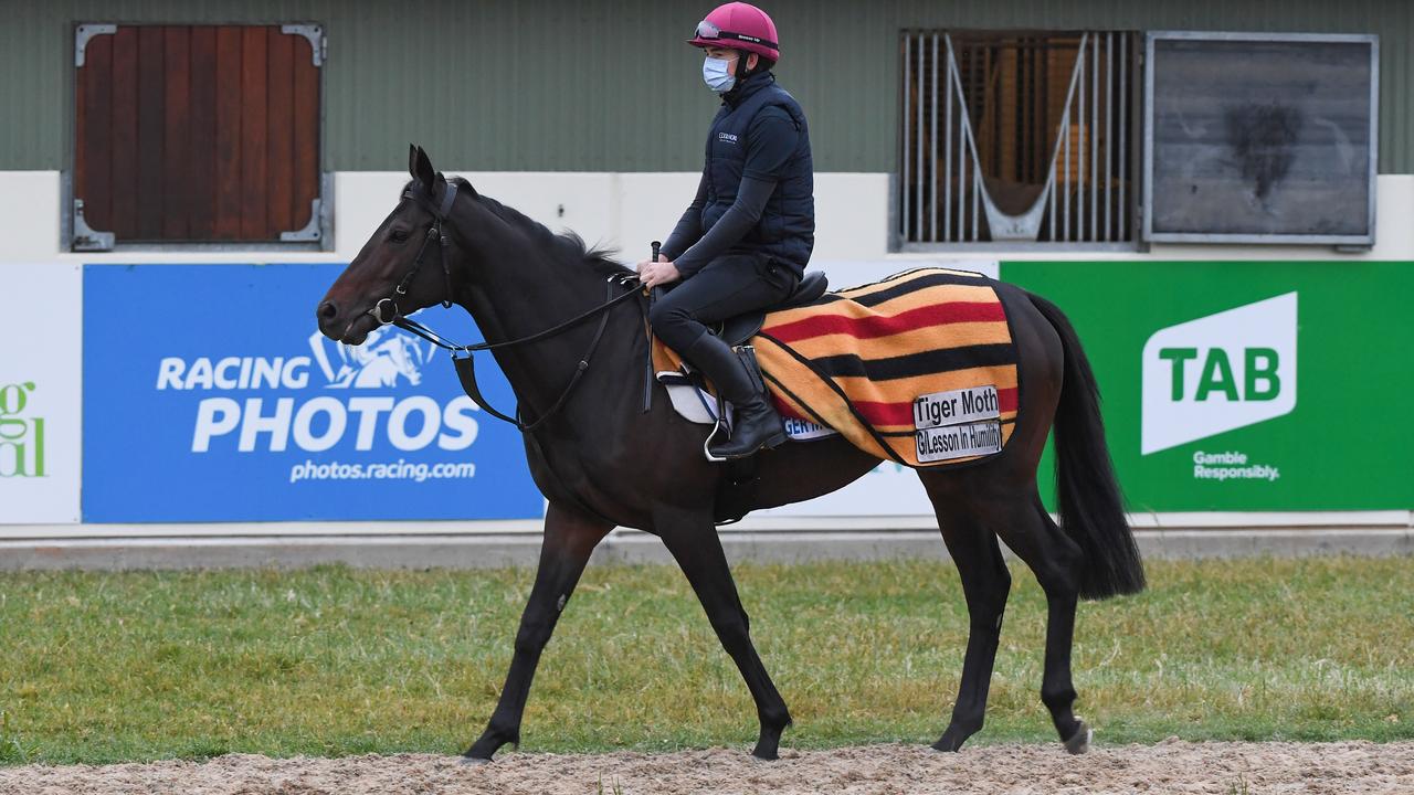 Werribee trackwork