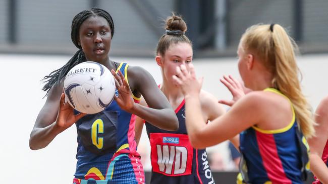 Liai is part of the Melbourne Vixens academy. Photo: Grant Treeby/NV