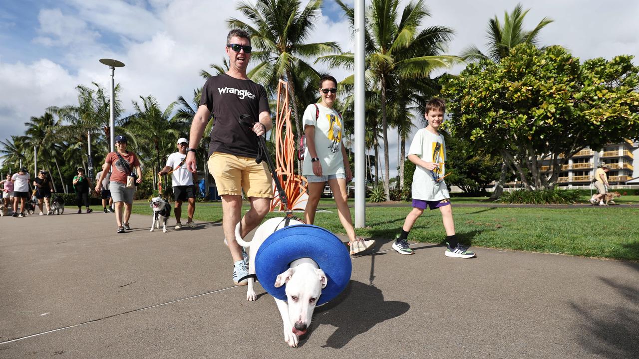 A ‘paw-fect’ ending: The final Million Paws Walk in Cairns