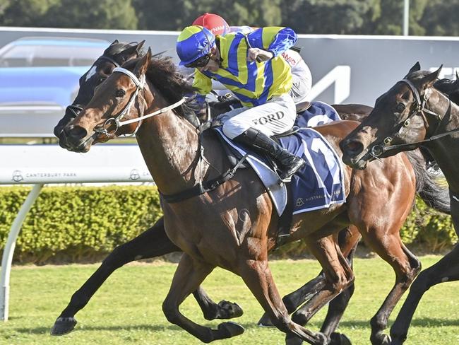 Lady Extreme returns to Canterbury and looks hard to beat. Picture: Bradley Photos