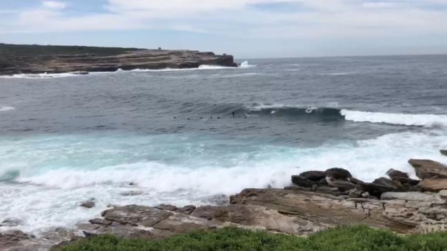 Surfers at Malabar earlier this week.