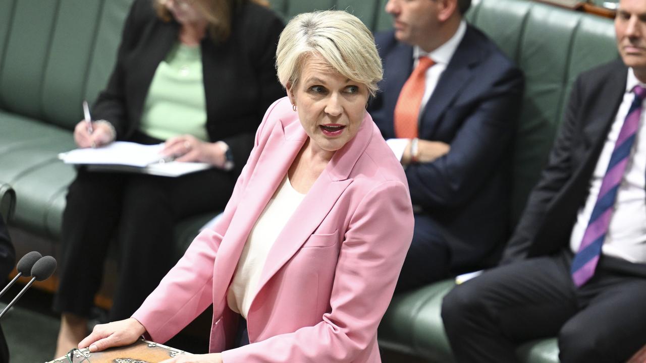 Minister for the Environment Tanya Plibersek. Picture: NewsWire / Martin Ollman