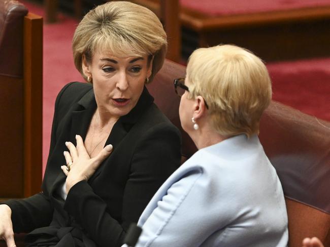 Senator Michaelia Cash and Senator Linda Reynolds. Picture: NCA NewsWire / Martin Ollman