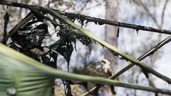 Damage caused by fire that tore through a permanent caravan of a couple and another family at Murphys Creek Escape, Wednesday, September 27, 2023. Picture: Kevin Farmer