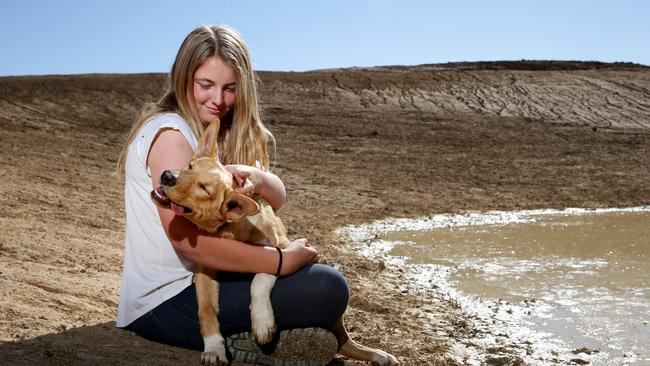 Charlotte Darcy, 15, on the family farm in Tullamore with their dog J at one of their many empty dams. Picture: Jonathan Ng