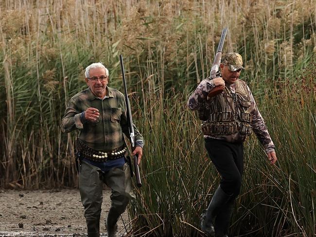 A hunter near Lake Connewarre at the opening of duck hunting season. Picture: Alison Wynd
