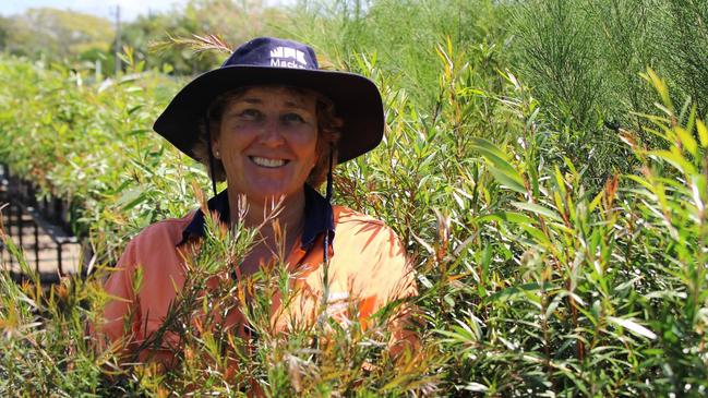 Mackay Regional Council's free native plant program is part of its Environmental Sustainability Strategy 2017-22. Picture: Mackay Regional Council.