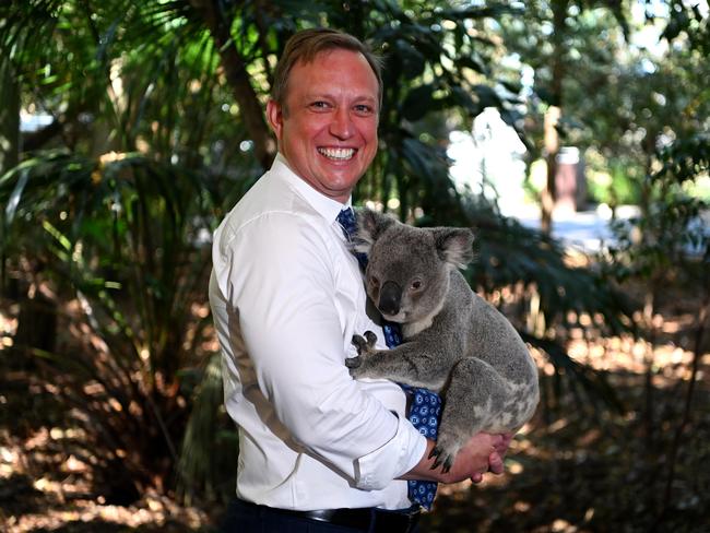 Conservationists warn Premier Steven Miles’s planned $1.6bn QSAC upgrade would put Toohey Forest koalas at risk. Picture: Dan Peled / NCA NewsWire