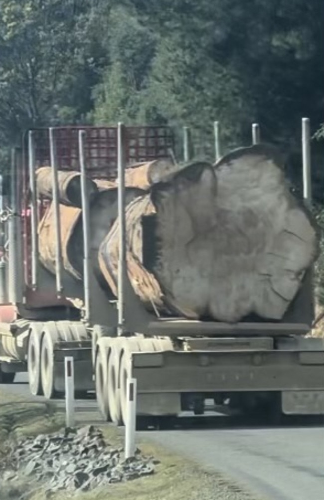 The footage was taken at Maydena, 80 kilometres west of Hobart by road. Picture: Supplied