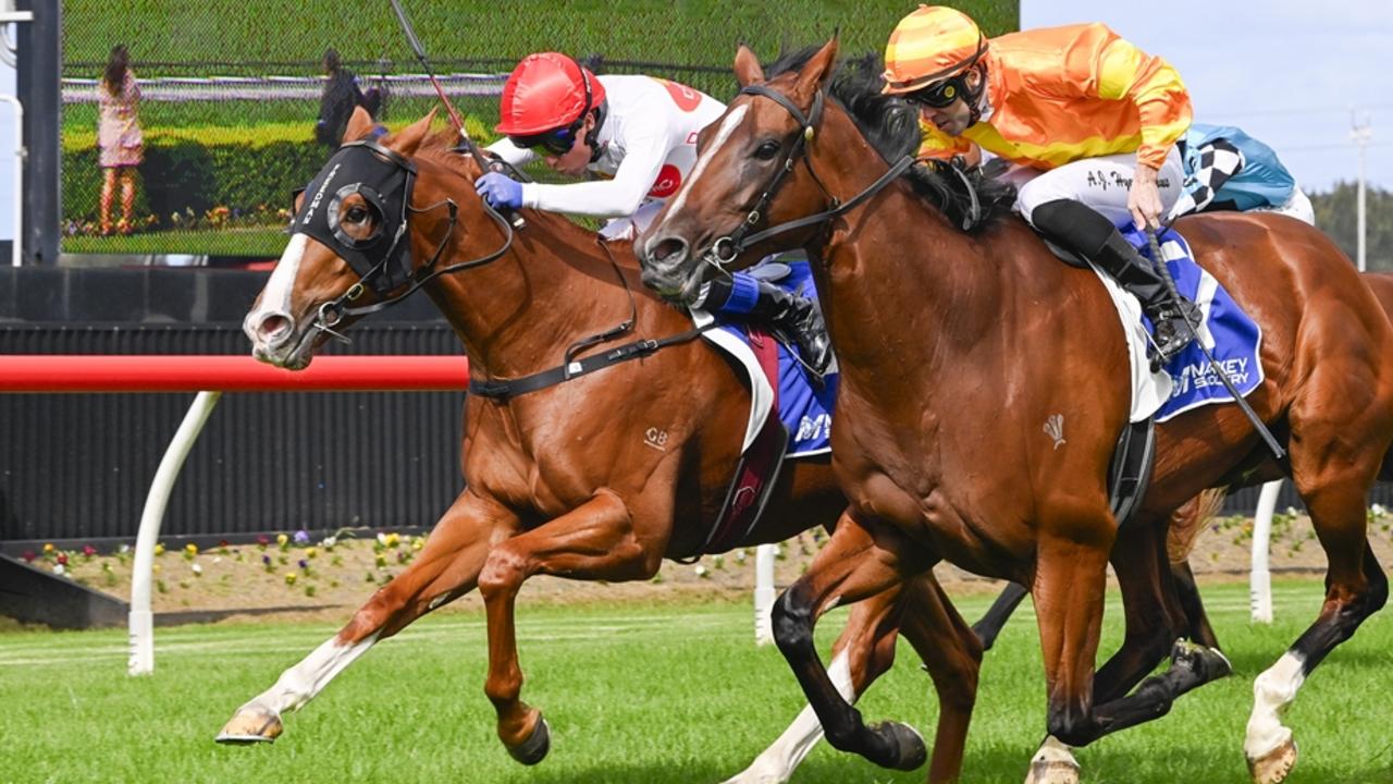 Goulburn preview: Tact to kick off a Dynamic day