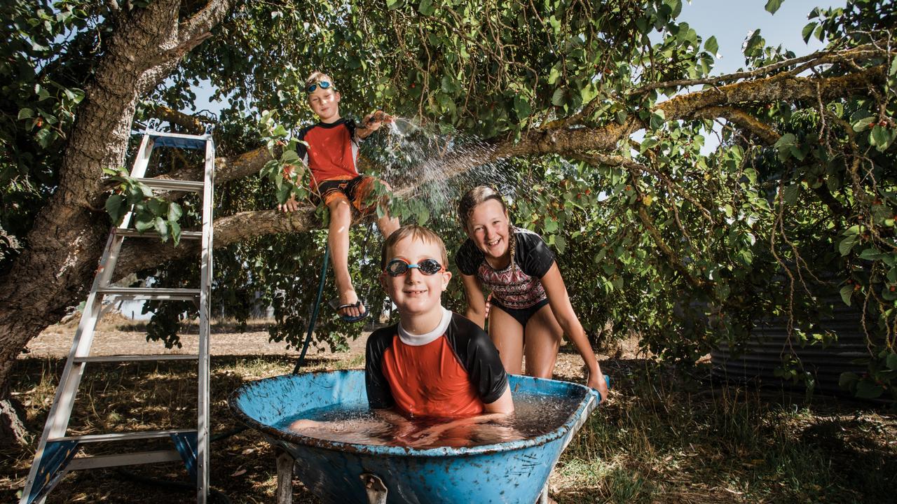 Evan Phillips sits in a wheelbarrow full of bore water pushed by his sister Georgia Phillips as close friend Hugh Reichstein hosed them from a large mulberry tree at Coomunga, north of Port Lincoln. Picture: Rob Lang