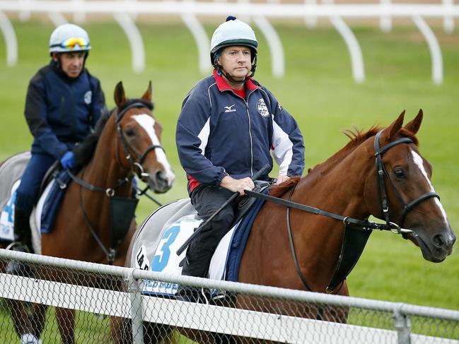 International horse's track work at Werribee Racecourse, Red Cadeaux and Trip To Paris head out for some work. 22nd October 2015. Picture: Colleen Petch.