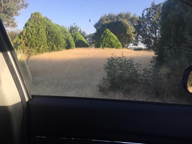 The view from Leanne’s driveway. Picture: Leanne Gloury