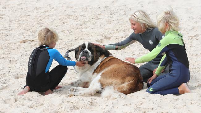 She got the pats! The Halford siblings, Beau, 8, Jordy, 12, and Shey, 10, make a friend. Picture: Glenn Hampson