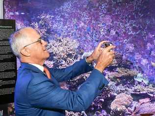 IN HOT WATER: The prime minister has defended the Federal Government's $444 million gift to the obscure Great Barrier Reef Foundation. Picture: AAP Image/Michael Chambers