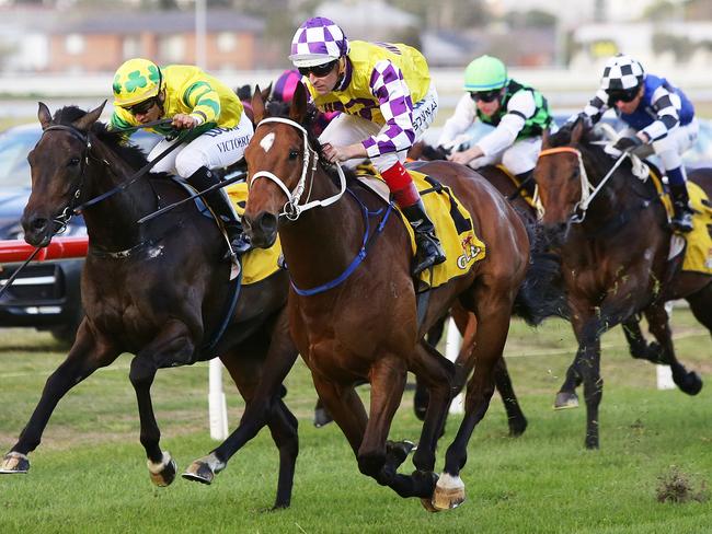 Hugh Bowman punches Sacred Master to the line to easily win the Newcastle Cup. Picture: Peter Lorimer