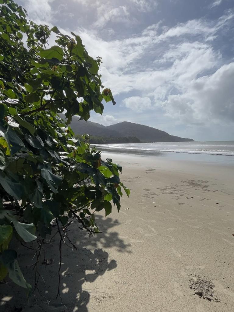 Cape Tribulation beach.