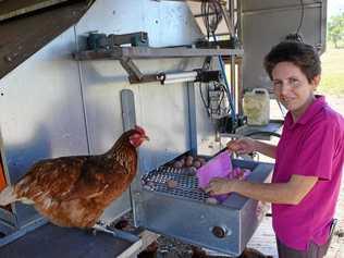 TIME FOR A CHOOK-UP: Brenda Lipsys says it is a positive step for the industry to check in with community expectations. Picture: Vanessa Jarrett