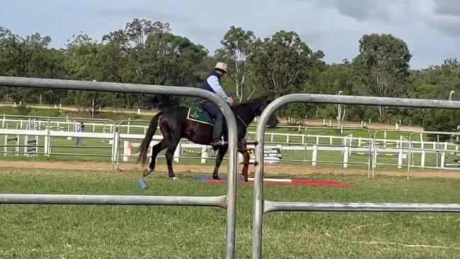 Legendary horseman Guy McLean performs at the Fraser Coast Show.