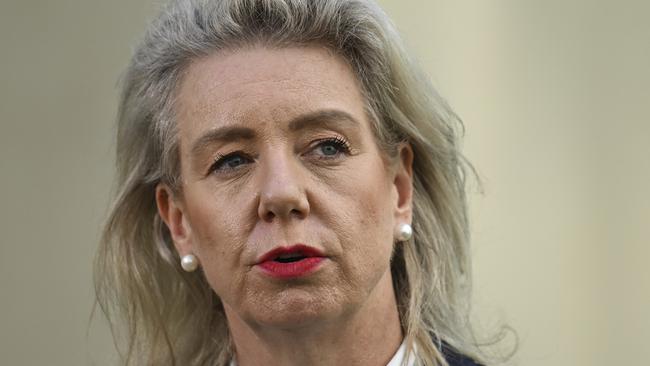 Nationals senator Bridget McKenzie said Senator Wong was ‘playing domestic politics with a very, very serious situation’. Picture: NewsWire/ Martin Ollman