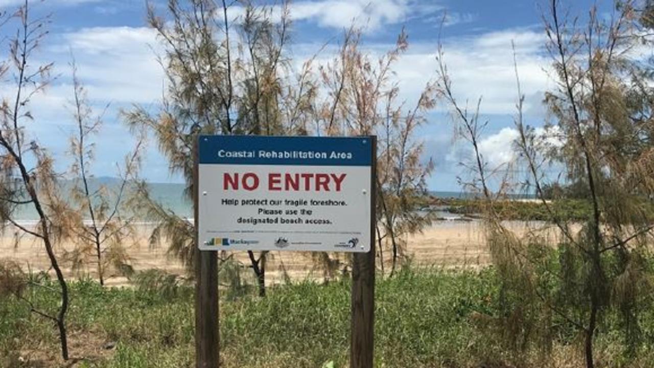 A previous case of vegetation vandalism at Hay Point.