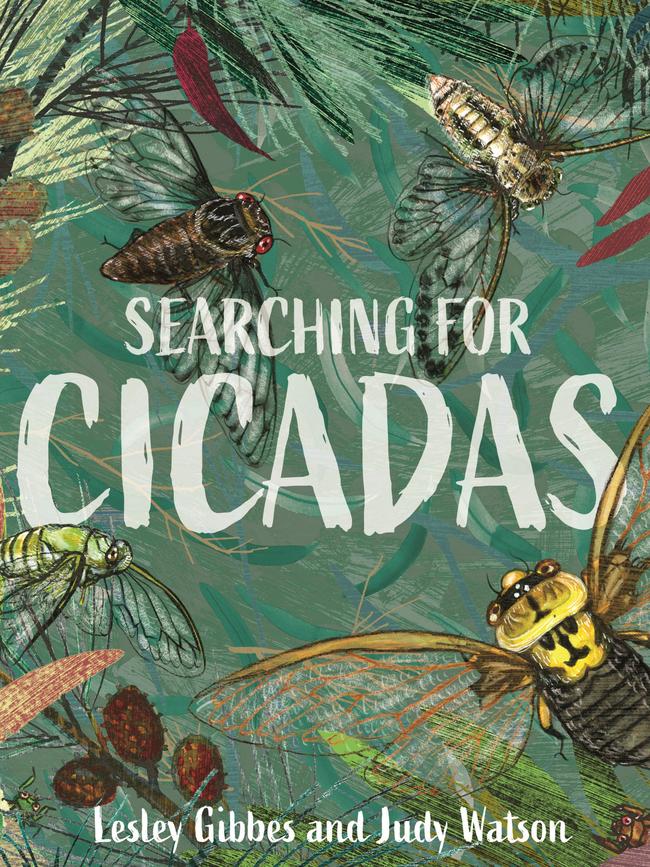 SEARCHING FOR CICADASLESLEY GIBBES, ILLUSTRATED BY JUDY WATSONWALKER BOOKS, RRP $27