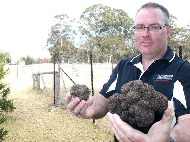 Matt Hibbert, owner of the Truffle Discovery Centre in Stanthorpe.