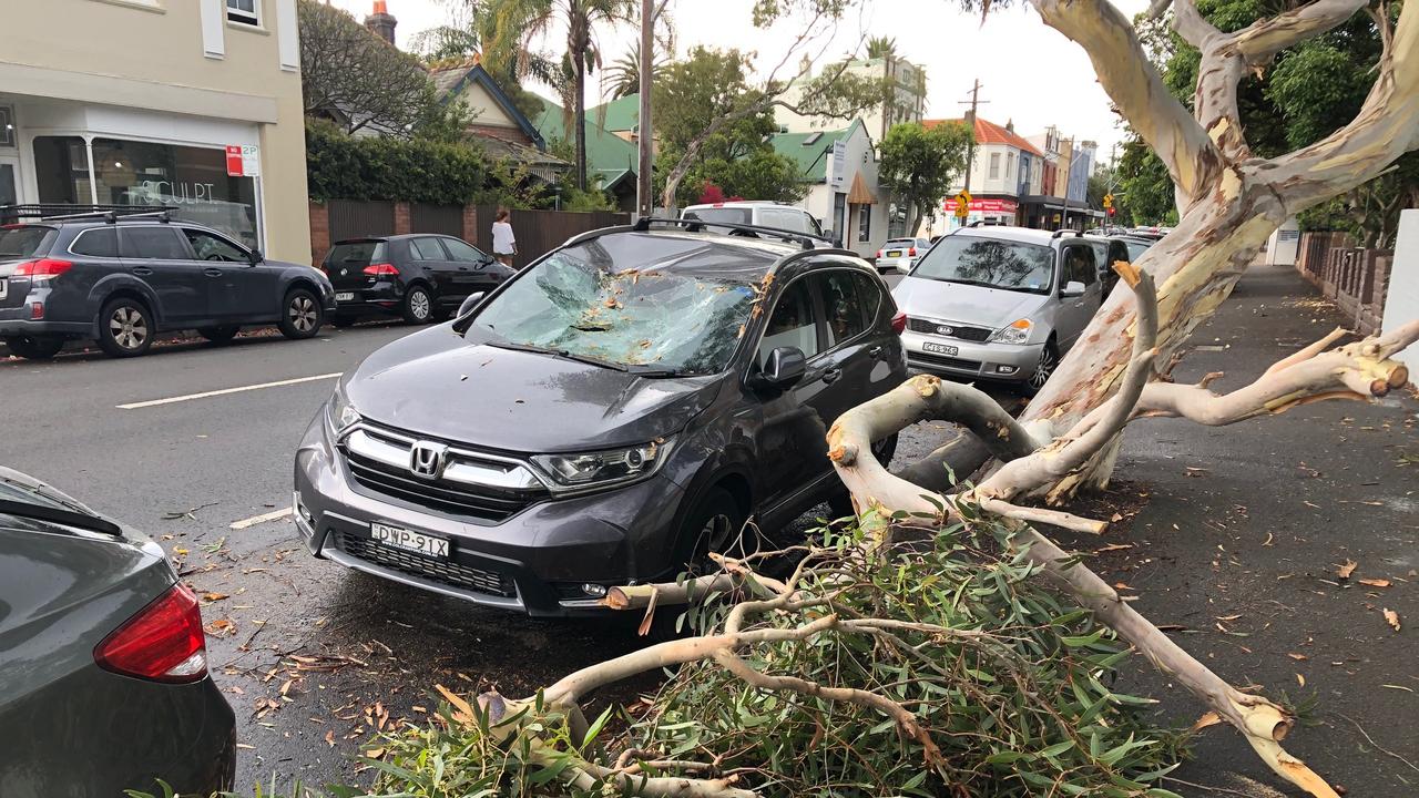 A car badly damaged by a fallen tree branch in Pittwater Rd, Manly. Picture: Jim O'Rourke