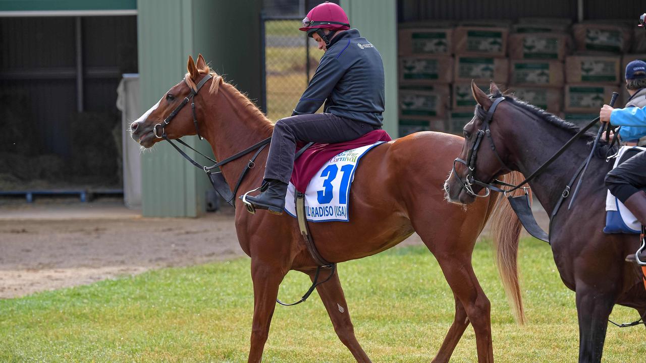 Werribee Trackwork