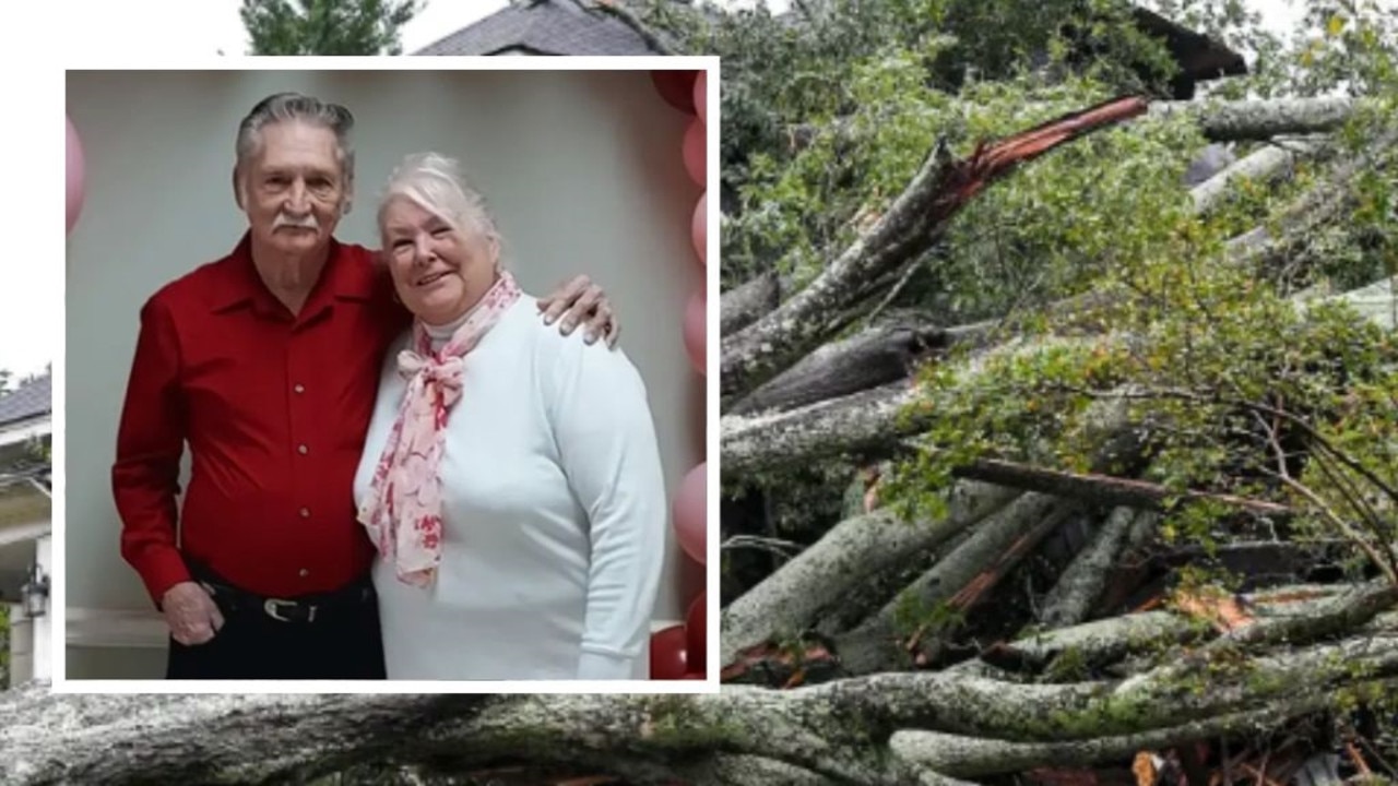 Grandparents killed by tree found hugging