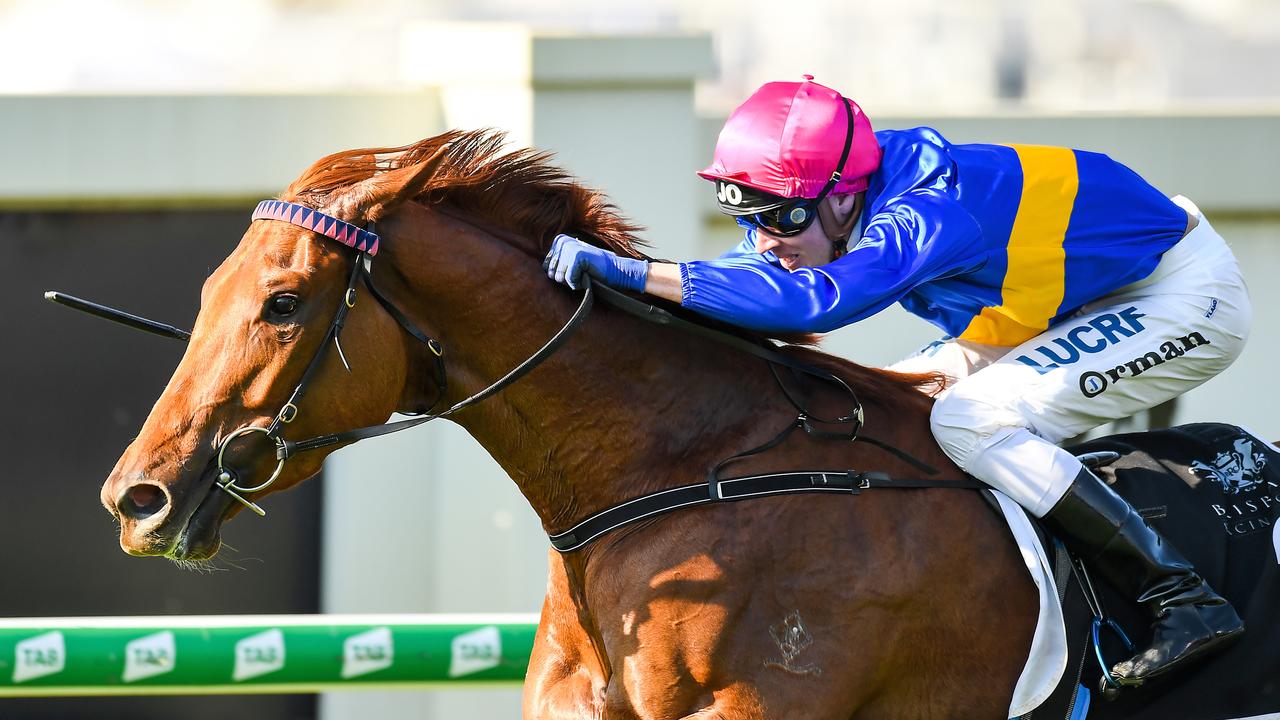 Toowoomba filly Gem Of Scotland and jockey Jimmy Orman winning at Doomben last September. Picture: AAP