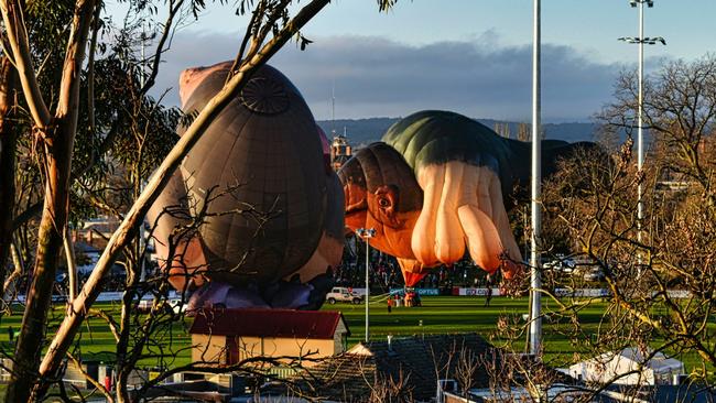 Patricia Piccinini's two Skywhale hot air balloons were inflated at Ballarat's Eastern Oval on July 10, 2022, but did not leave the ground. Picture: Ballaarat/Facebook.