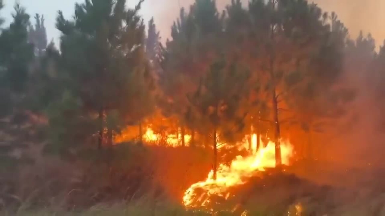 Evacuation Ordered as Brush Fire Burns in Bastrop County | The Weekly Times