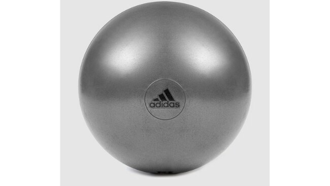 Rebel swiss ball hot sale