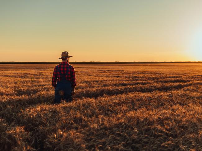Regional families and farming communities are having to drive to Sydney for care.