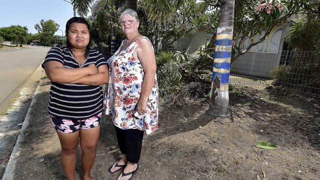 Kirwan residents Rhonda Ross and Lesley Williams, who is house sitting for her daughter, says there have been plenty of close calls at an intersection where an allegedly stolen car crashed into palm trees and a frangipani bush on Tibarri St Kirwan. PICTURE: MATT TAYLOR.