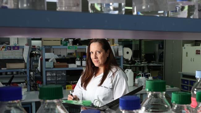 Forensic Science Queensland chief executive Linzi Wilson-Wilde. Picture: Liam Kidston