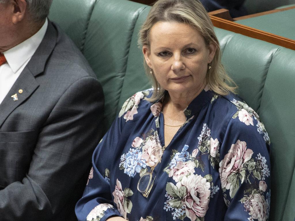 Environment Minister Sussan Ley will begin talks with states and territories regarding the proposed changes on Monday afternoon. Picture: Gary Ramage