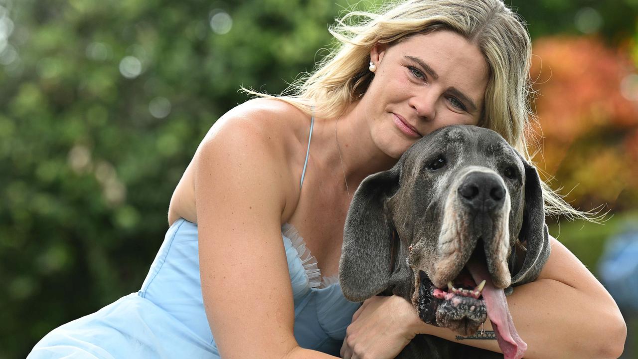 Swimmer Shayna Jack with her beloved dog Hugo, who sadly had to be put down. Picture: Lyndon Mechielsen/Courier Mail