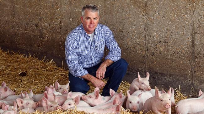 Waikerie pork producer Mark McLean says consumers should focus more on where products come from and how they’re produced - and having a balanced diet. Picture: Tom Huntley