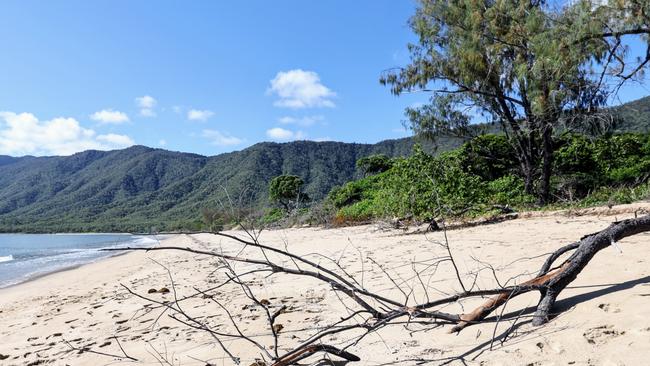 The jury on the murder trial of Toyah Cordingley has visited Wangetti Beach, 40 kilometres north of Cairns, to witness the site that Ms Cordingley died. The site on Wangetti Beach where Ms Cordingley's body was buried in a shallow grave in the sand. Picture: Brendan Radke