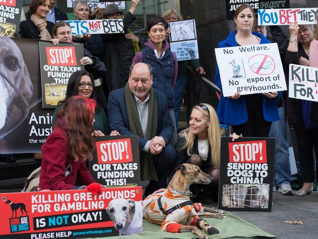 Millie at the recent Sydney protest against the export of Irish greyhounds to Macau.