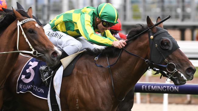 Jockey Ben Melham steers Living The Dream to victory at Flemington. Picture: AAP