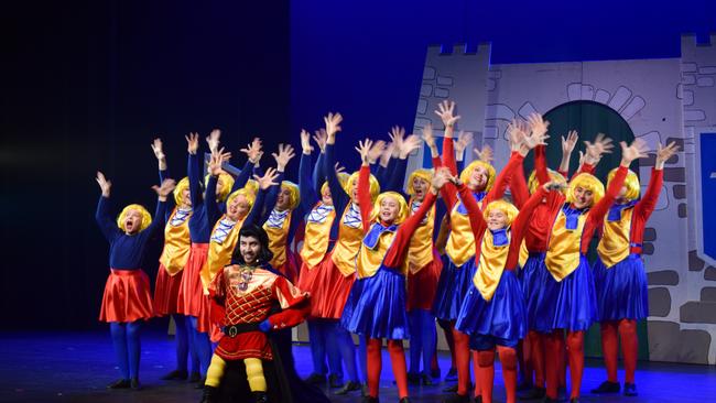 The Pilbeam Theatre has hosted many shows including Shrek The Musical featuring Rockhampton Musical Union Youth Choir and Dean Netherwood as Shrek.
