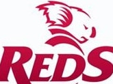 Queensland Reds logo.