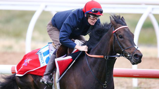 A Prince Of Arran needs to win the Lexus Stakes to secure his spot in the Melbourne Cup. Picture: Getty Images