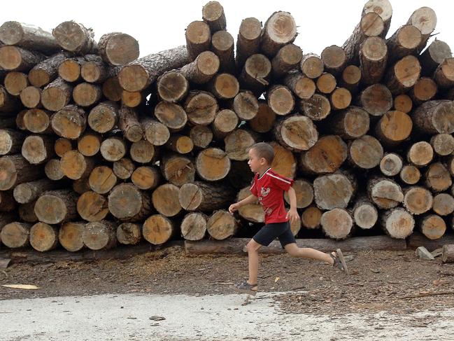 A boy runs past a pile of sawn timber at a plywood factory in Hefei, central China's Anhui province 05 August 2006. In the past decade, China's total consumption of wood products increased by 70 percent, and coupled with a booming global trade for various wood products is having a devastating impact on forests and poor forest communities globally, CHINA OUT AFP PHOTO