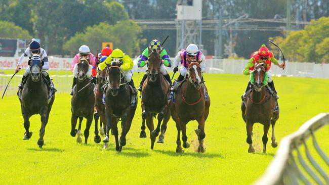 Danish Twist (bright yellow) continued her good form at Hawkesbury on Saturday. Picture: Jenny Evans