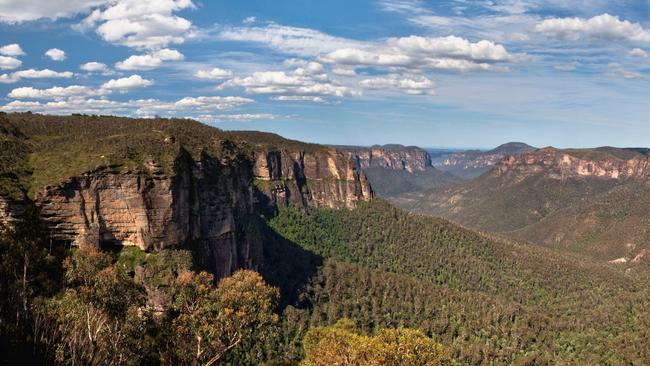 Blue Mountains: New black panther sighting fuels urban legend | Photo ...